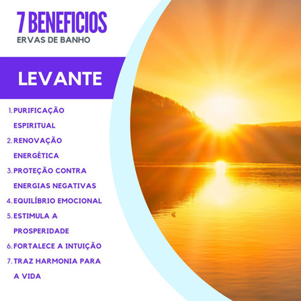 Erva De Banho Ervas Legítima Artemísia Levante Ritualística 1 Erva De Banho Ervas Legítima Artemísia Levante Ritualística 1