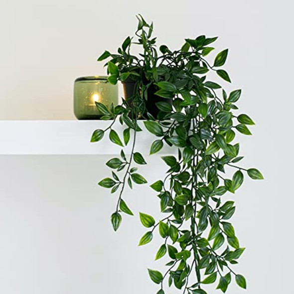 ~? Plantas Colgantes Artificiales Paquete De 3 Plantas En Ma 1