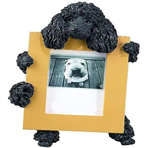 Marco De Imagen De Caniche Negro Con Su Foto Favorita De 25 0