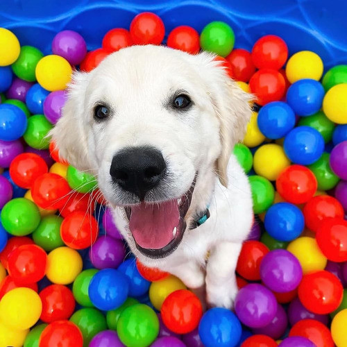 ~? Soft Ball Pit Balls 150 Pack Plastic Play Balls For Pet D 0