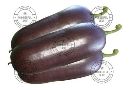 Melão Caboclo, Croá Preto, Fruto In Natura - 1 Unidade Médio 0