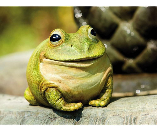 Evergreen Garden Medium Portly Frog Pintado Polystone Al Air 1