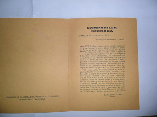 Campanilla Serrana Flora Bonaerense Cientific 1970 R J Llano 1