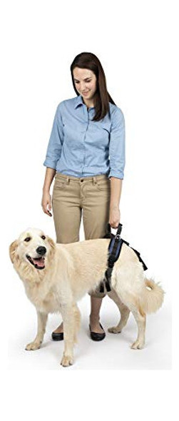 Arnes De Patas Traseras Para Perros Talle L Ajusable 1