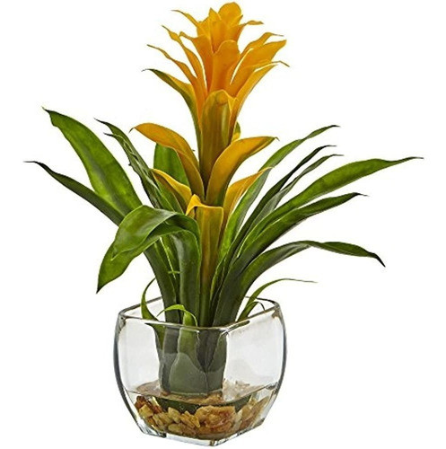 Bromelia 6897-ilo Casi Natural Con Arreglo De Florero De Vid 0