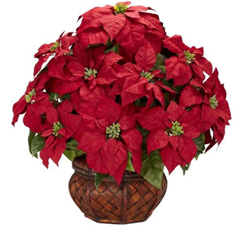 Casi Natural 1265 Poinsettia Con Macetas Seda El Arreglo De 0