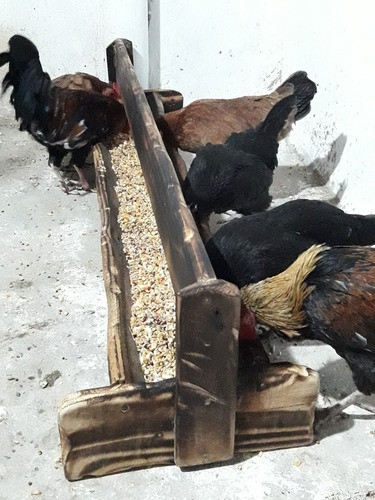 Comedero Para Gallinas Madera Rustico 0