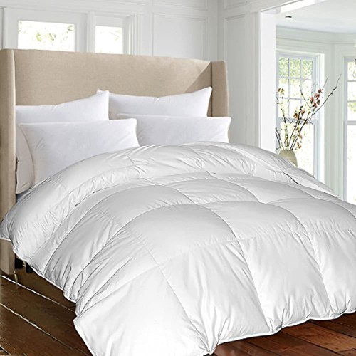 Blue Ridge Home Fashions Luxury 1000 Thread Count Pima Cotto 0