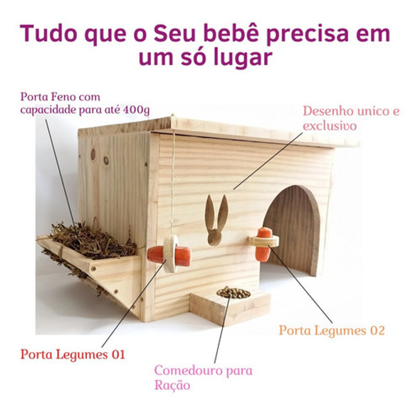 Casinha  Para Mini Coelho E Porquinho Da Índia Chinchila 1 Casinha  Para Mini Coelho E Porquinho Da Índia Chinchila 1
