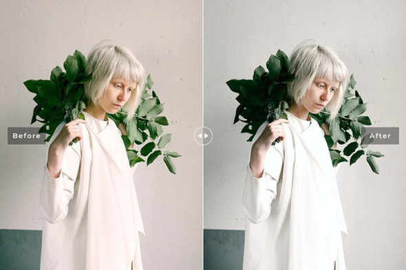 Minimalist Clear Presets Para Pc E Celular 1