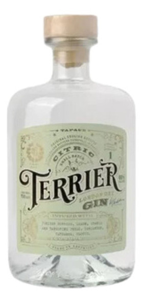 Gin Terrier Citric 700ml + Copa Gin + 1 Cítrico Surtido 1