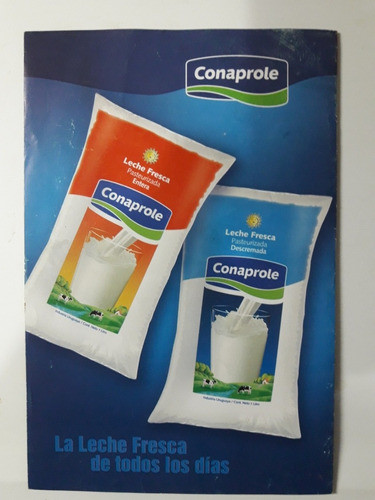 Conaprole Recetario,sopas De Leche Deliciosas Muy Nutritivas 1