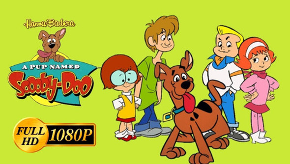 Un Cachorro Llamado Scooby Doo Serie Hanna Barbera 0
