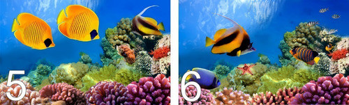 Paisajes Marino-peces-corales-póster-murales-vinil-120x70mts 0