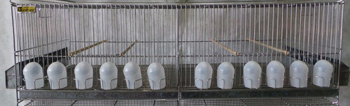 Jaulas Lopardo Voladoras Liviana 100x40x30cm 12 Com. 2 Chapa 0