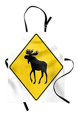 Delantales Multicolores Para El Almuerzo Tela Multi 11 Esta 0