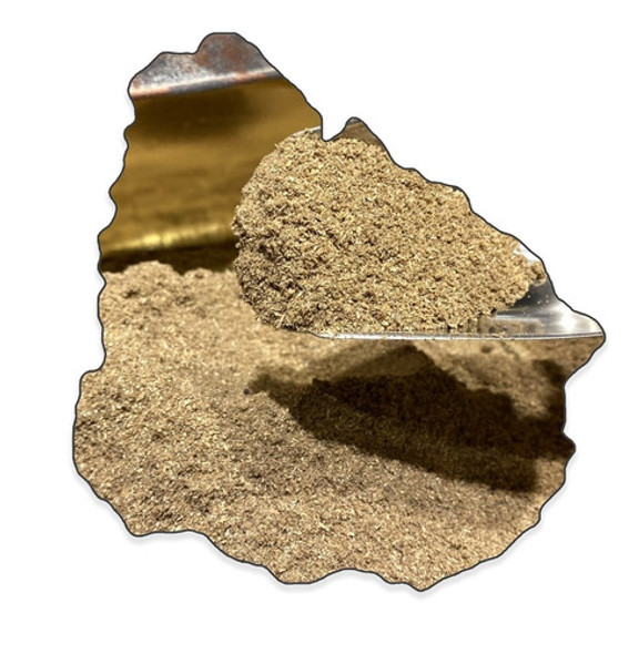 Coriandro Molido Especial - Excelente Calidad - 500g Envio 0 Coriandro Molido Especial - Excelente Calidad - 500g Envio 0