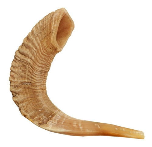 Shofar De Carnero Saa6 De 48 A 55 Cm Con Atril+manual De Uso 0