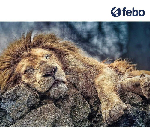 Rompecabezas Puzzle 1000 Piezas Lion Leon Febo 1