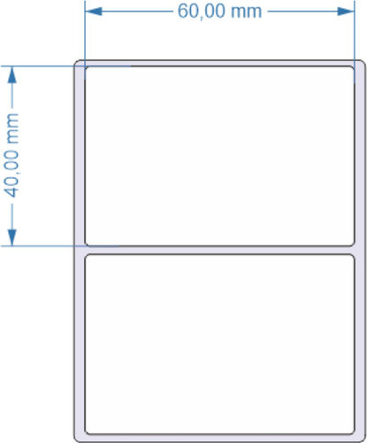 5 Rolos Etiqueta 60x40 Térmica Direta Zebra Elgin Balanças 1
