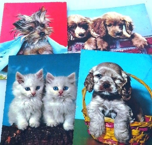 4 Tarjetas Postales Gatos Y Perros  Kruger Alemania Retro 0
