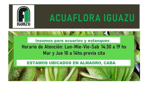 Carbon Activado Granular Filtros De Aire Indoors 1kg 1