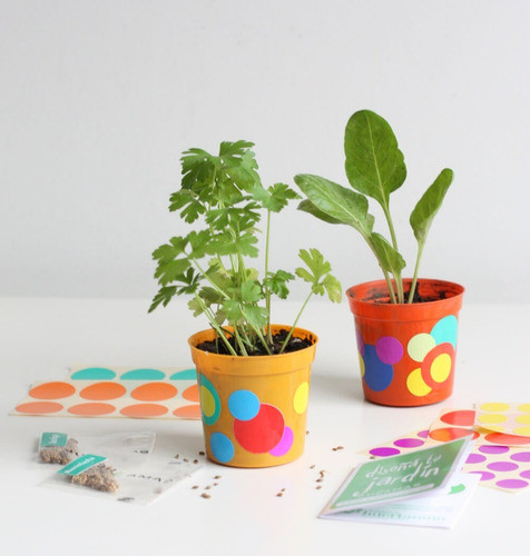 Crea Tu Huerta Decora Macetas Y Aprende A Sembrar Jugamas 1