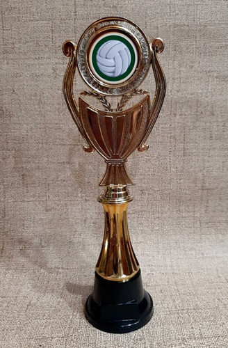 Trofeo Plástico Voley Volley Pelota Columna Baja Souvenir 1