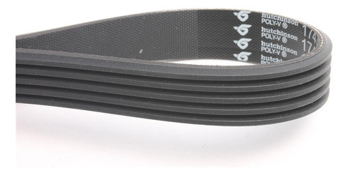 Correa Poli V Hutchinson Rover 75 2.0 0
