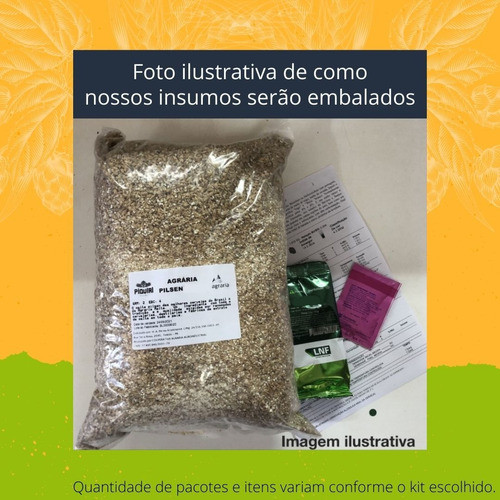 Kit Receitas Cerveja Artesanal 20l Belgian Pale Ale 1