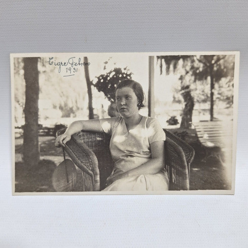 Antiguas Postales Tigre 1931 (lote X 3) S/circular Le1329 0