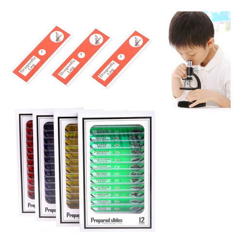 Microscópio Preparado Slides Amostra Animais Insetos Plantas 1