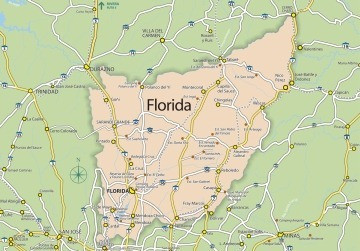 Mapa Del Departamento De Florida - Uruguay - Lámina 45x30 Cm 1