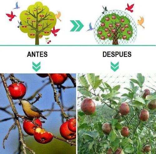 Malla Antipajaros - Antipalomas  Proteccion Frutales Huerta 0