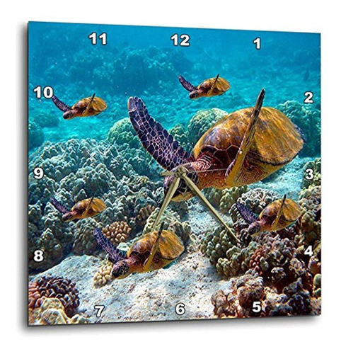 Dpp _ _ _ _ _ _ _ _ _ _ 26850 Oceano Vida  El Mar Tortugas 0