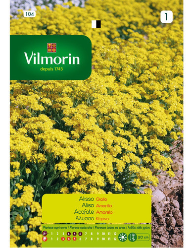 Semillas Flores - Aliso Amarillo - Envíos 1