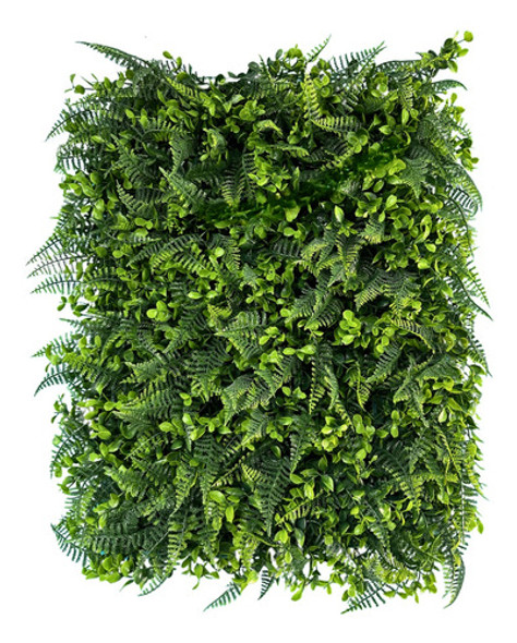 Placa De Mini Samambaia Eucalipto 40x60 Jardim Vertical Luxo 0 Placa De Mini Samambaia Eucalipto 40x60 Jardim Vertical Luxo 0