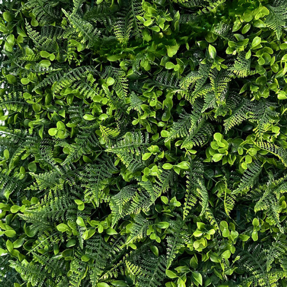 Placa De Mini Samambaia Eucalipto 40x60 Jardim Vertical Luxo 1 Placa De Mini Samambaia Eucalipto 40x60 Jardim Vertical Luxo 1