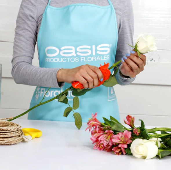 Oasis Limpia Tallos Flor 1