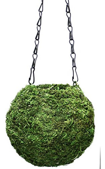 Supermoss 29348 Kokedama Planter 6 En Verde Fresco 0