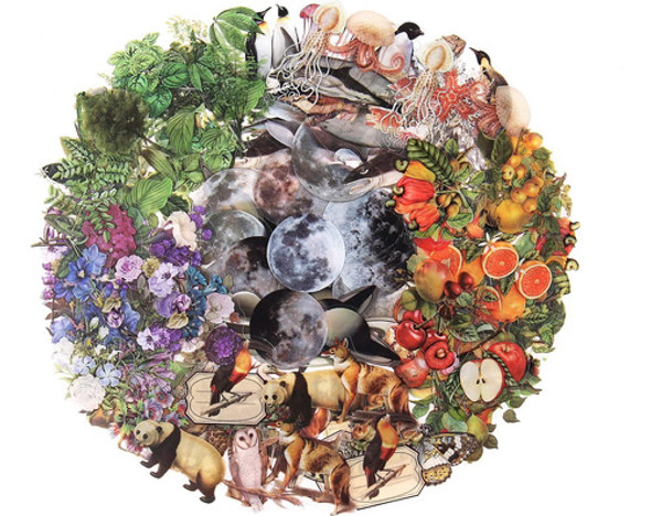 Adornos De Flora Y Fauna Vintage Para Scrapbooking, 240 Piez 0