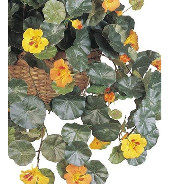 Cesta Colgante De Seda De Capuchina Nearly Natural 6025 Mult 1