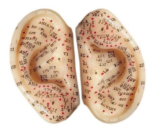 Oreja Molde Modelo Con Puntos De Auriculoterapia X 2 Chico 1