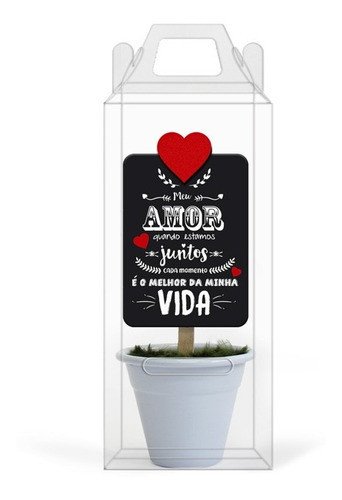 Mini Vaso Lettering Amor - Fina Ideia 1