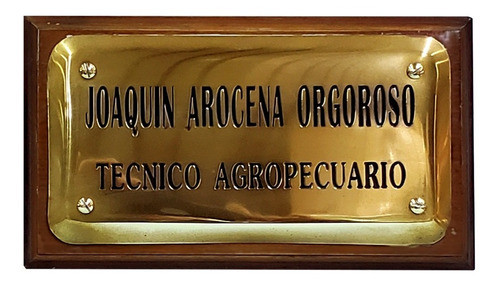 Placa Profesional Bombé De Bronce - Chapa Personalizada 0