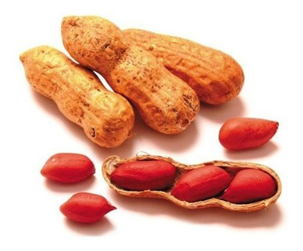 Amendoim Torrado Com Casca Granel 1kg - Qualidade Premium 0