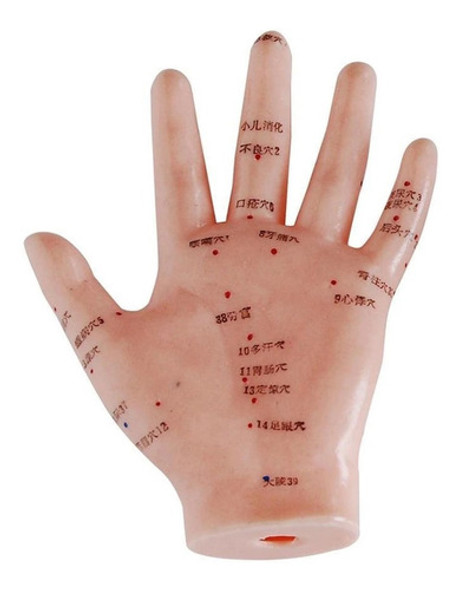 Mano Acupuntura, Material Para Enseñanza, J3c519509 0