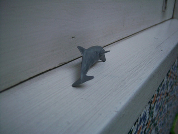 Delfín Gris . Cotillón 1