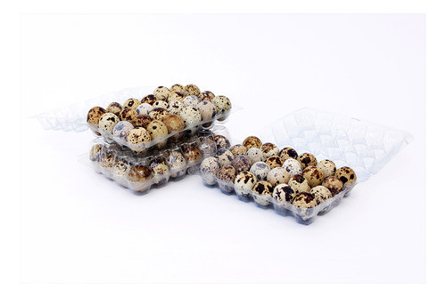 Huevos De Codorniz X Mayor. Somos Productores 0