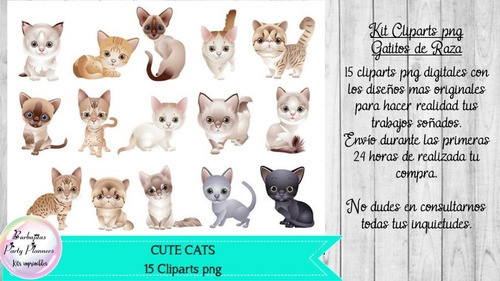 15 Cliparts Png Cats Gatos Gatitos 1